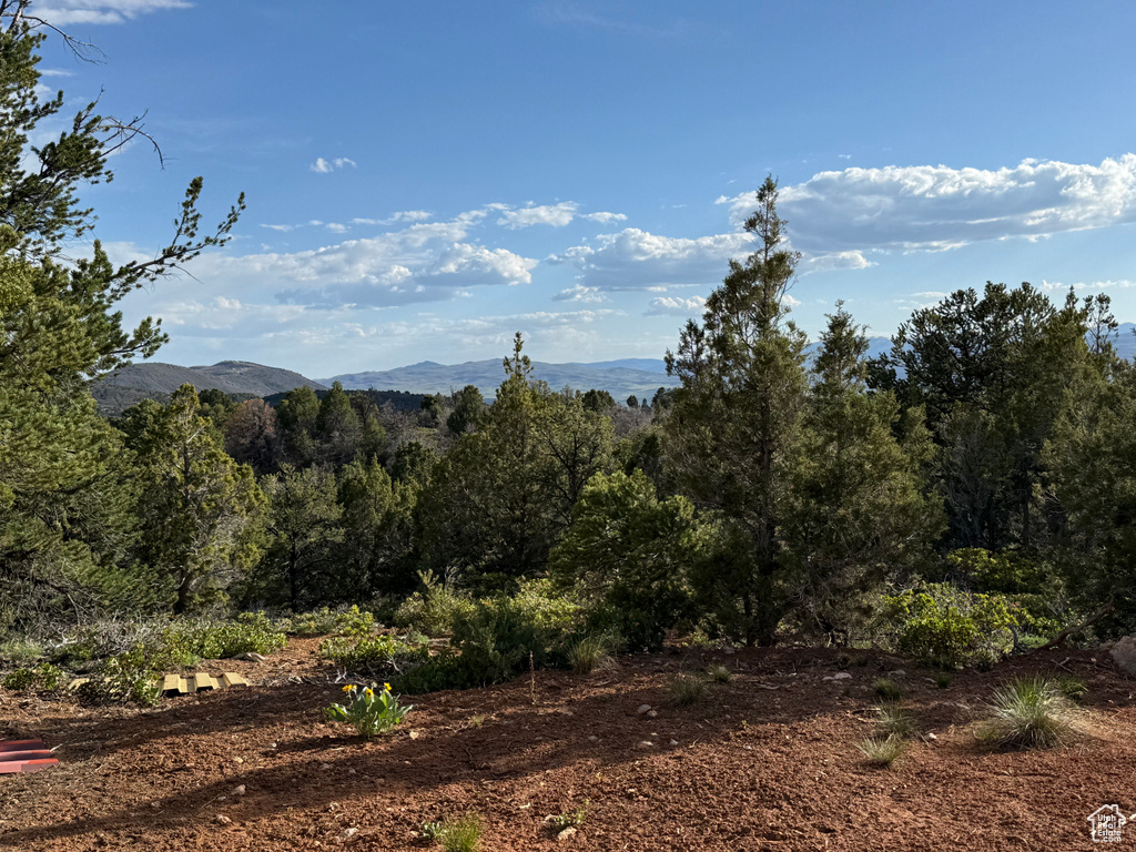 Mountain view featuring a forest