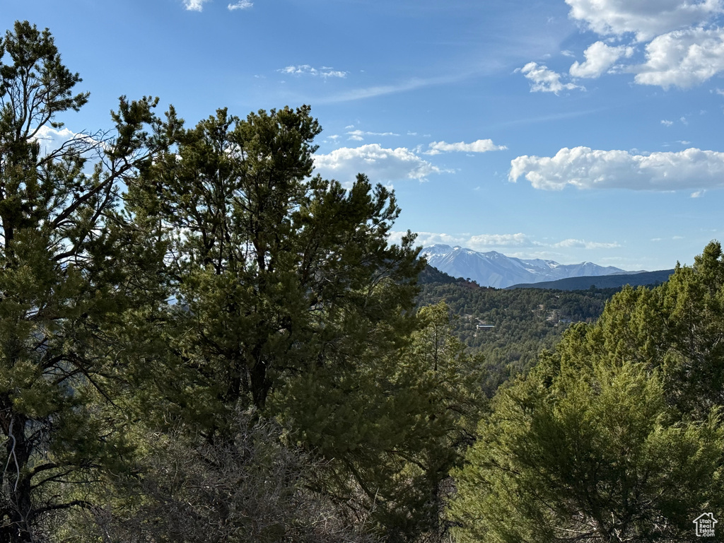 View of mountain background featuring a heavily wooded area
