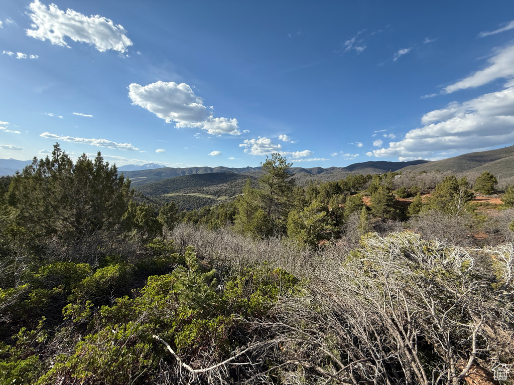 Mountain view