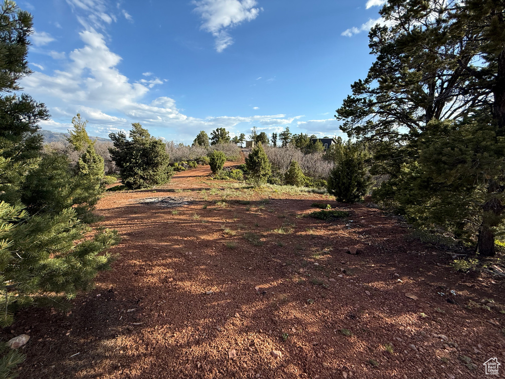 View of undeveloped land