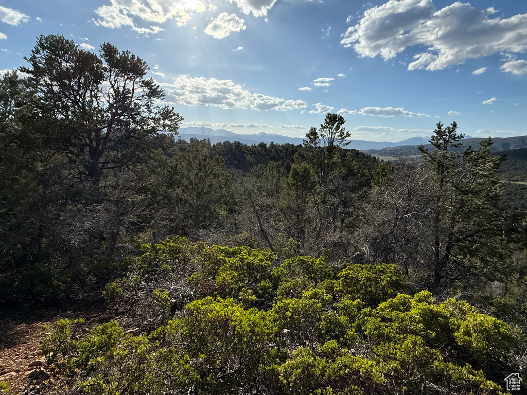 View of mountain background featuring a forest