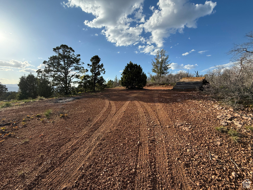 View of road