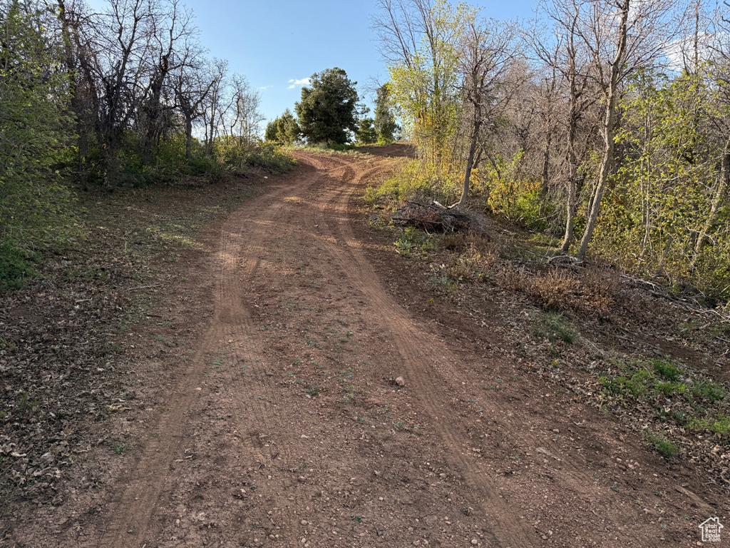 View of dirt / gravel road