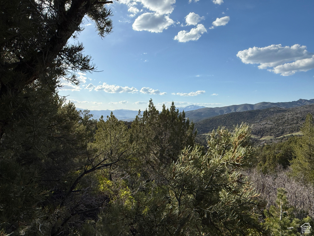View of mountain backdrop
