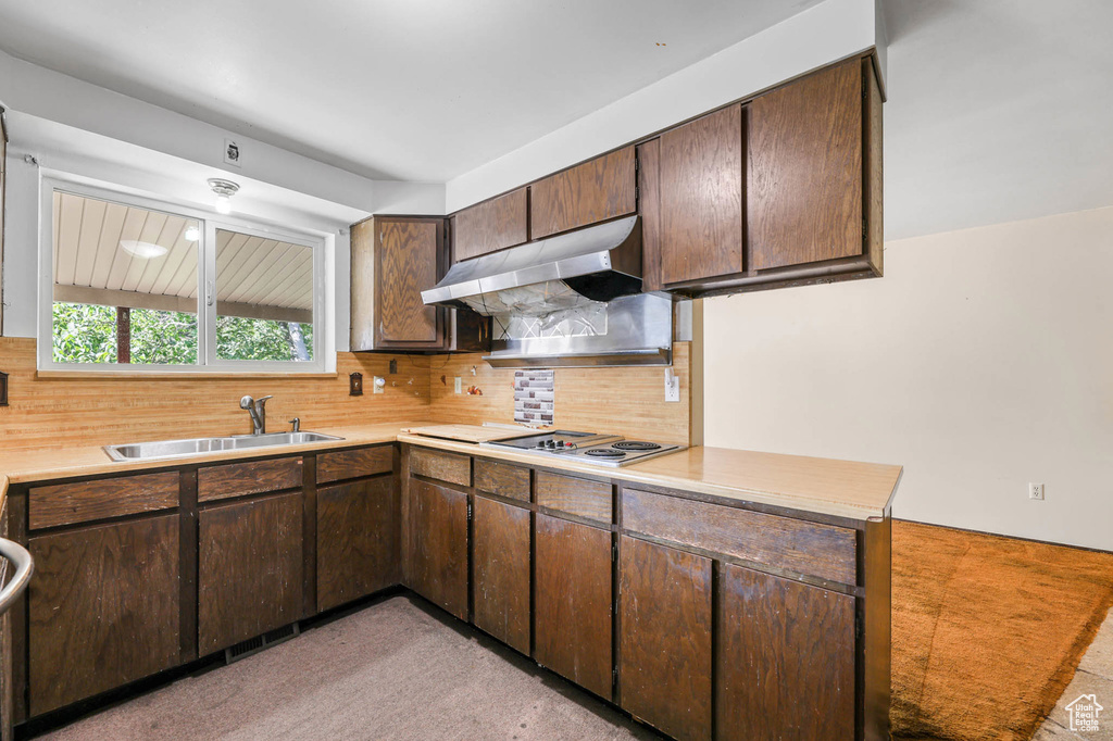 Kitchen featuring under cabinet range hood, stovetop, light countertops, and dark brown cabinets