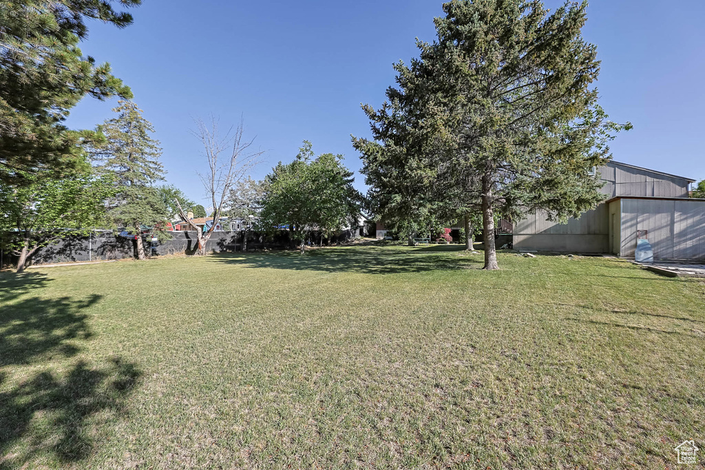 View of grassy yard