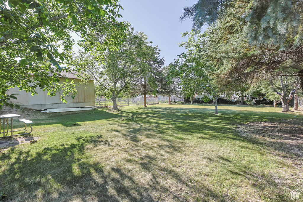 View of grassy yard