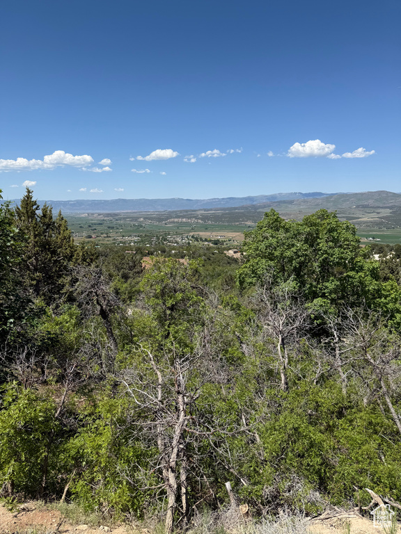 6  M JUNIPER DR Fairview, UT 84629