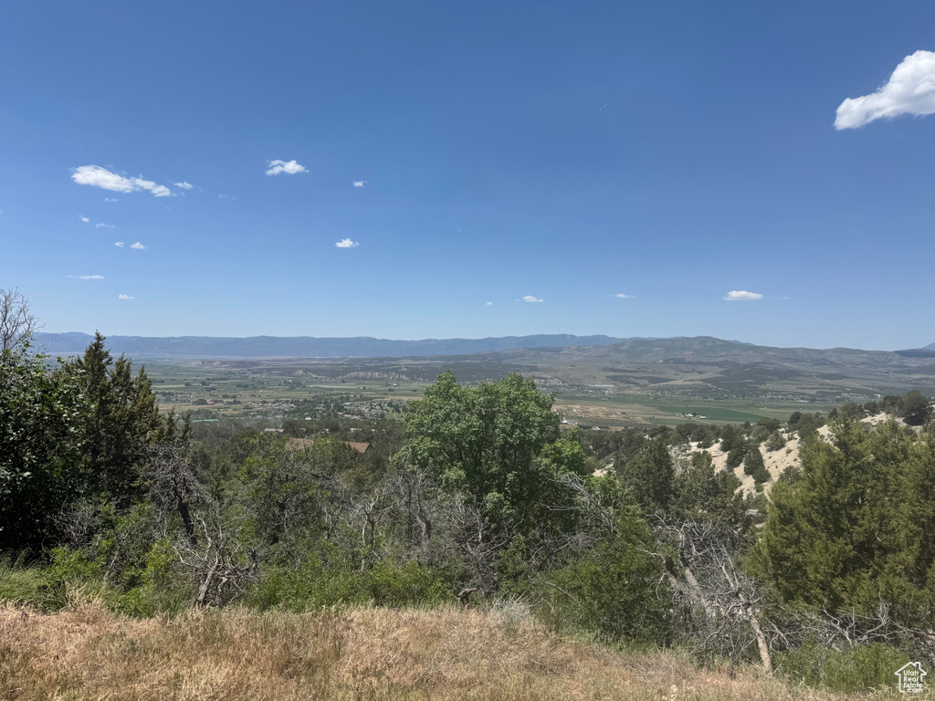6  M JUNIPER DR Fairview, UT 84629