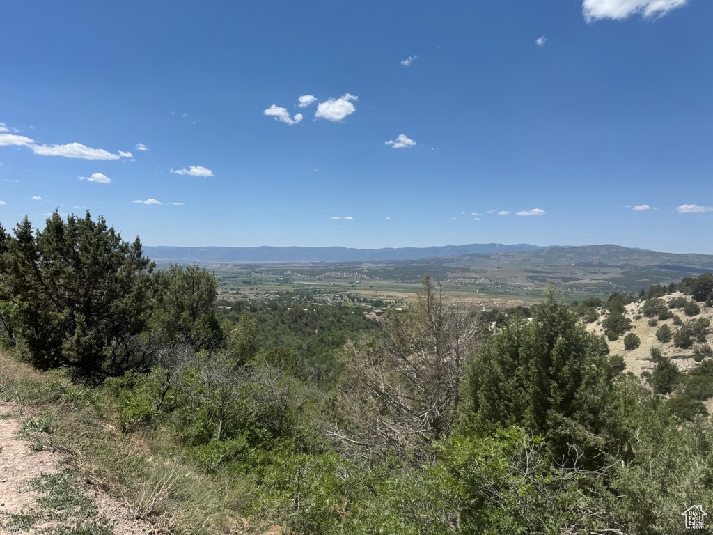 6  M JUNIPER DR Fairview, UT 84629