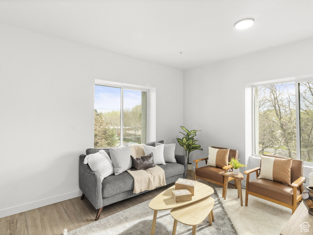 Living room featuring healthy amount of natural light and light wood-style flooring