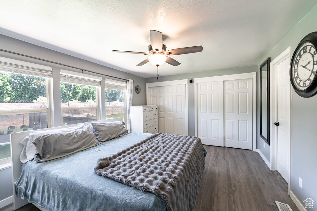 Bedroom featuring two closets, dark wood finished floors, and a ceiling fan