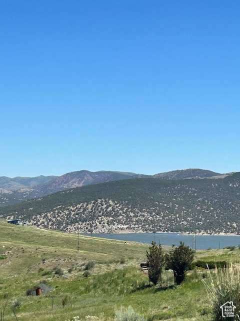Mountain view
