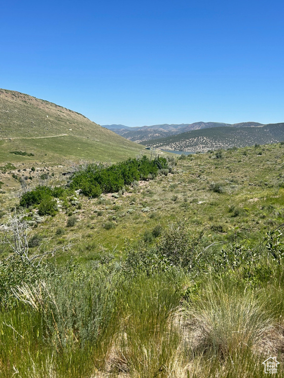Mountain view