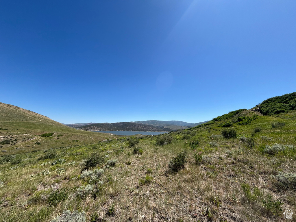 Mountain view