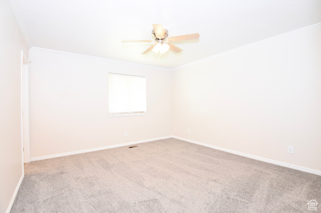 Carpeted spare room featuring ceiling fan and crown molding