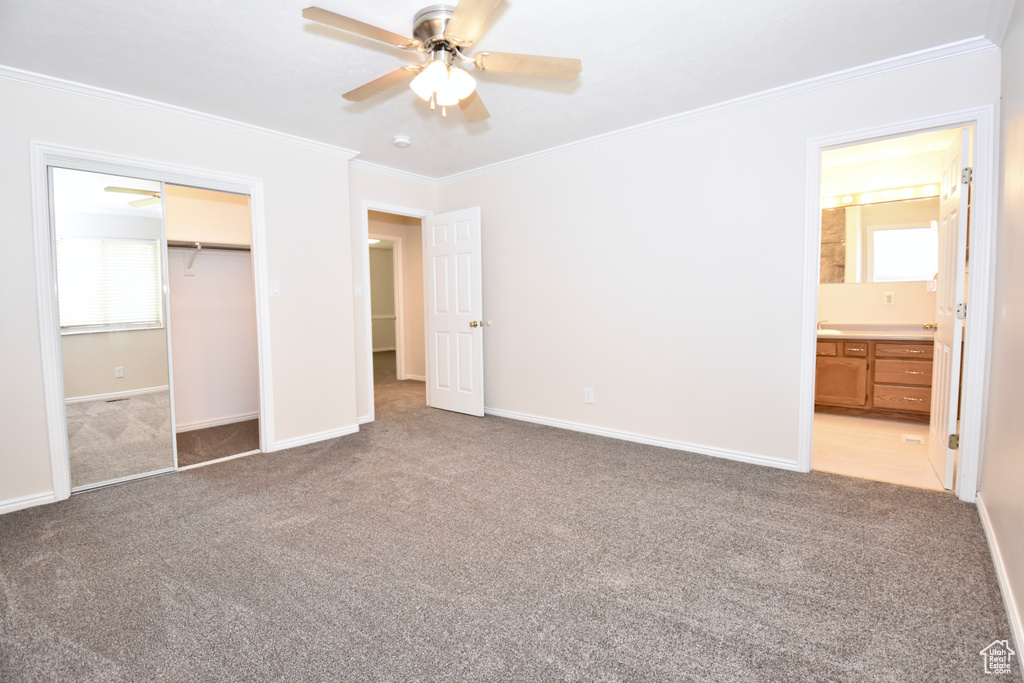 Unfurnished bedroom featuring carpet floors, ornamental molding, multiple windows, and a closet