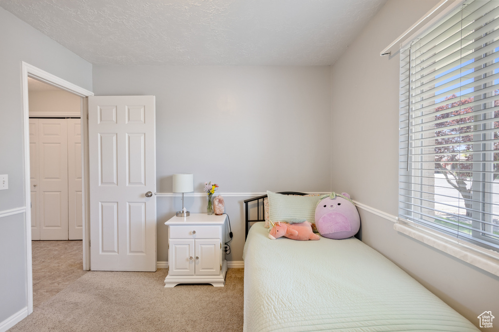 Bedroom with light carpet