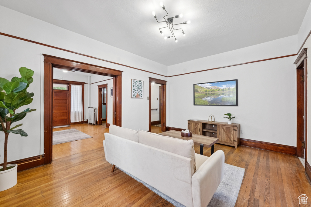 Living area featuring radiator heating unit and light wood finished floors