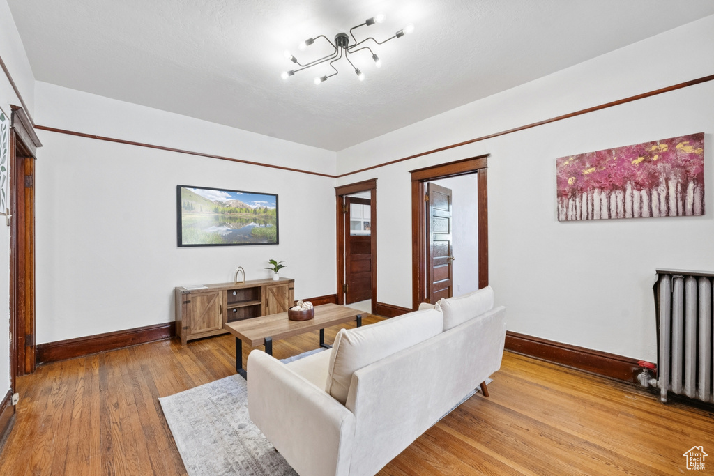 Living room featuring wood finished floors and radiator heating unit