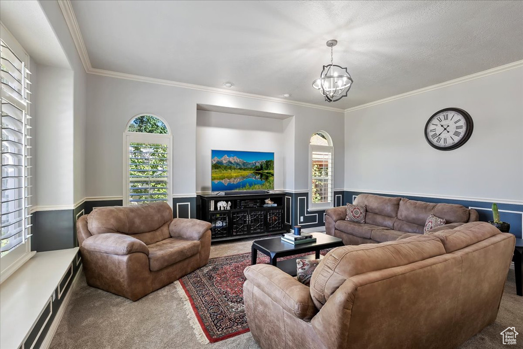 Living room with carpet floors, ornamental molding, healthy amount of natural light, a chandelier, and a wainscoted wall