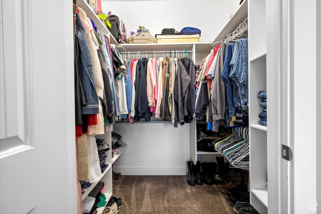 Spacious closet with carpet floors