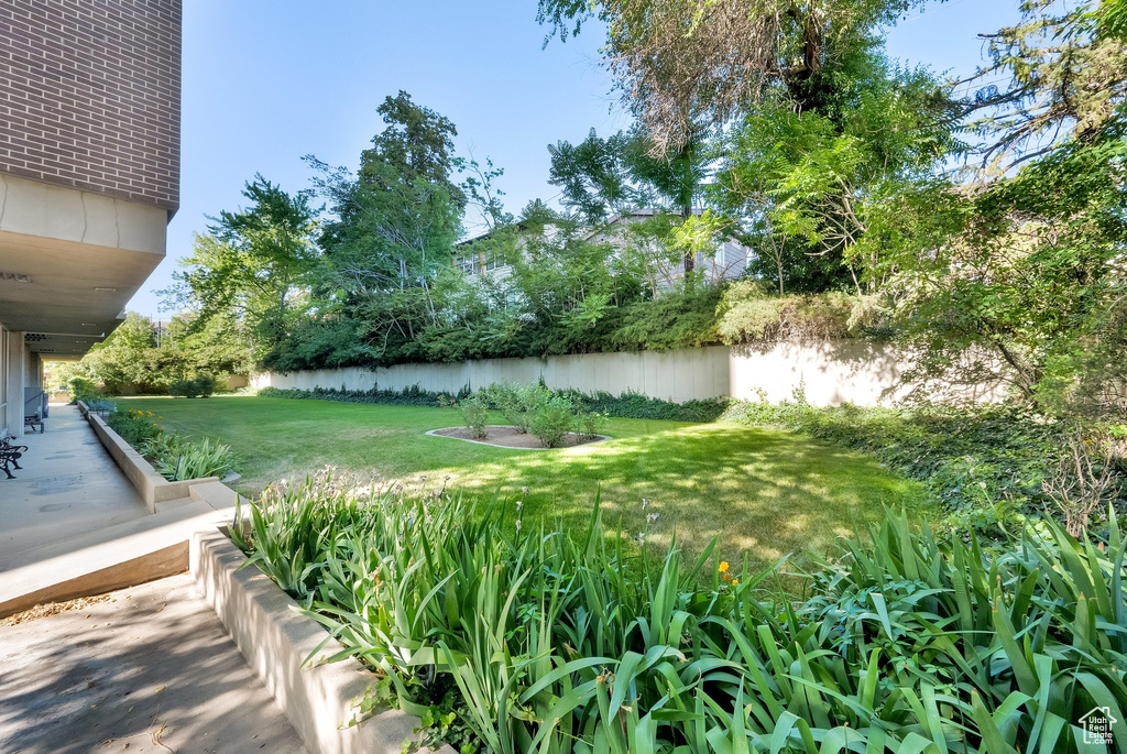 View of grassy yard