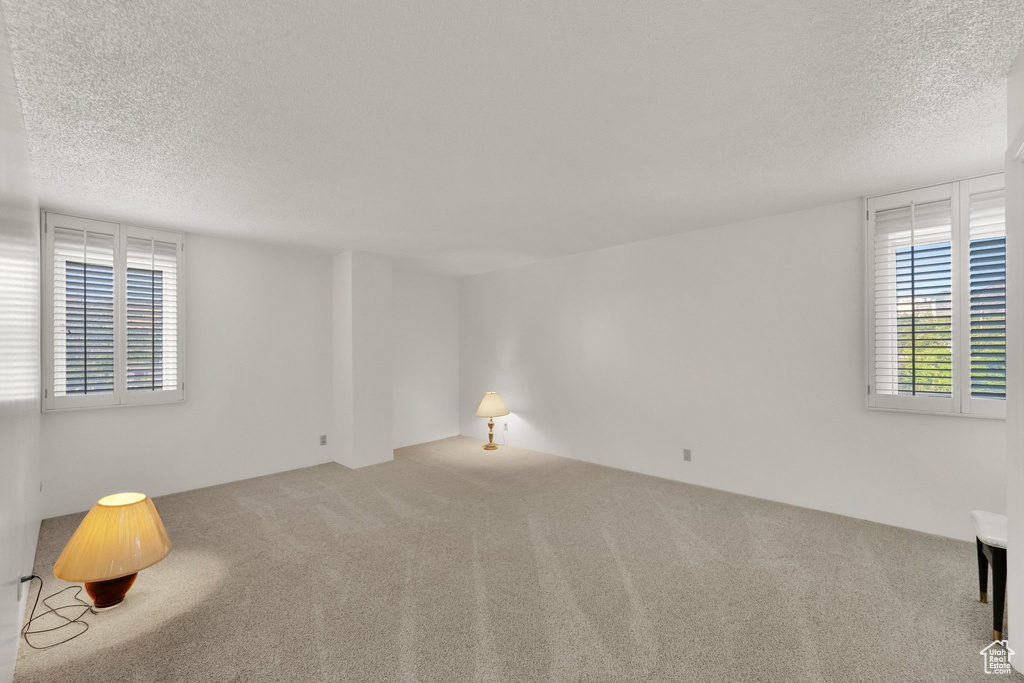 Unfurnished room with carpet floors and a textured ceiling