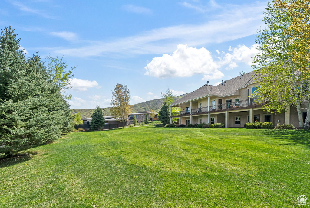 View of grassy yard