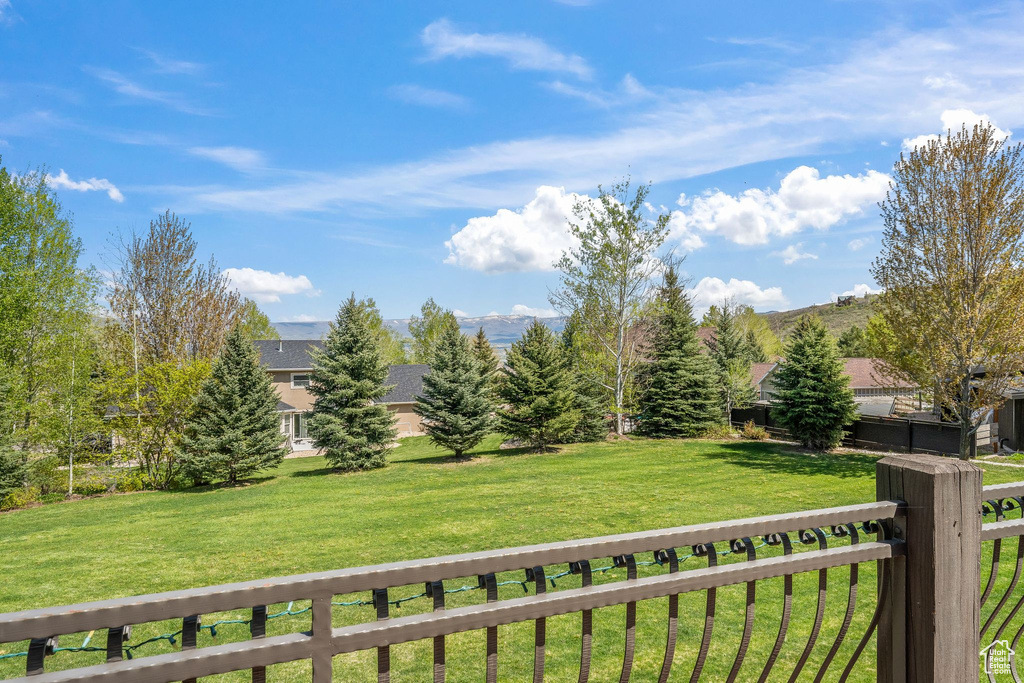 View of grassy yard