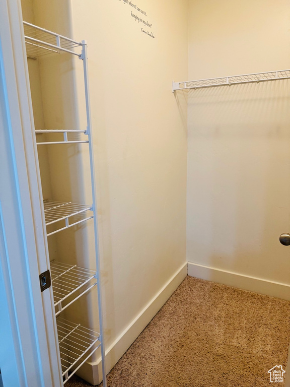 Spacious closet with carpet flooring
