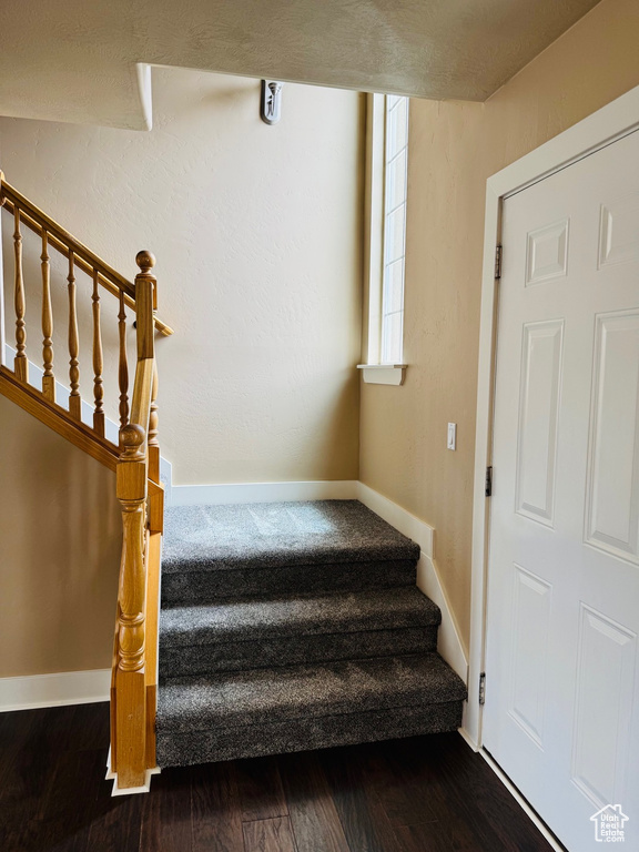 Stairway featuring wood finished floors