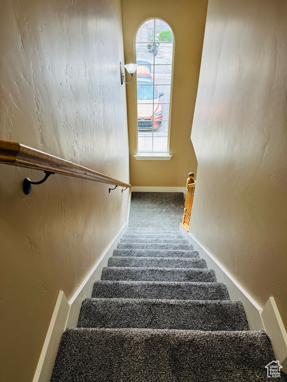 Stairs featuring carpet floors and a textured wall