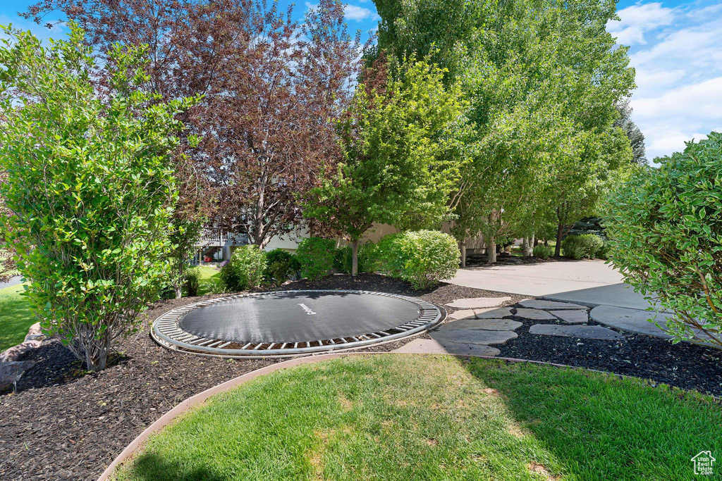 View of yard with a trampoline