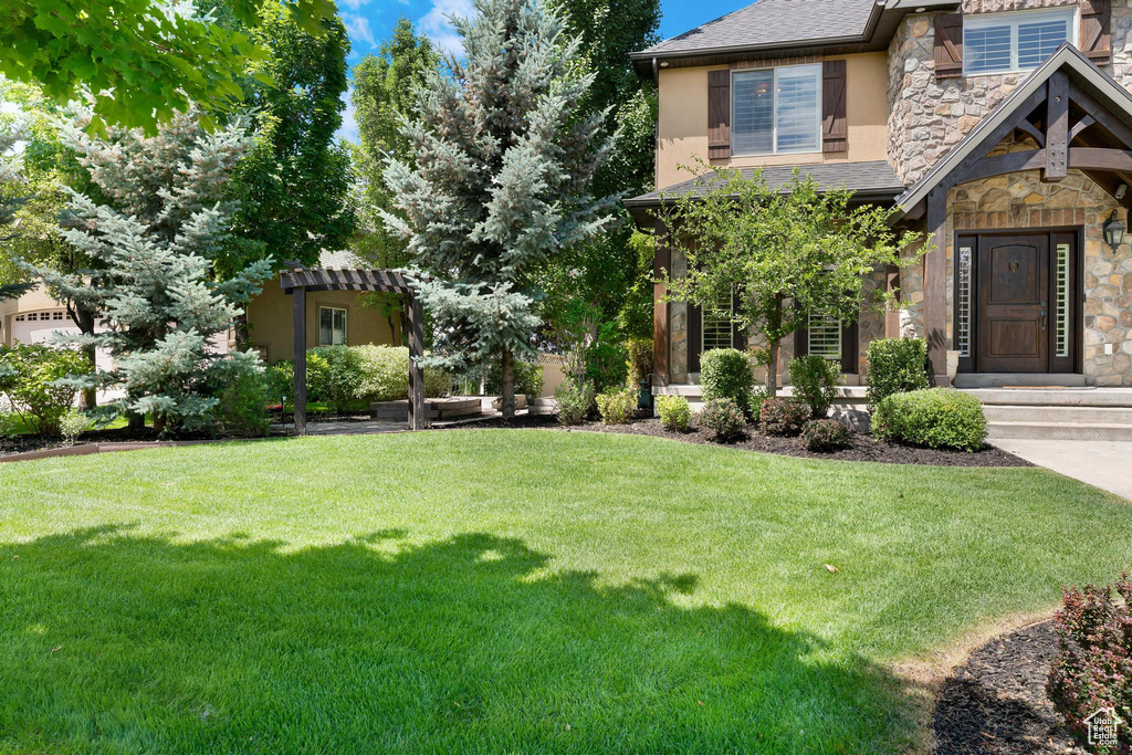 View of grassy yard