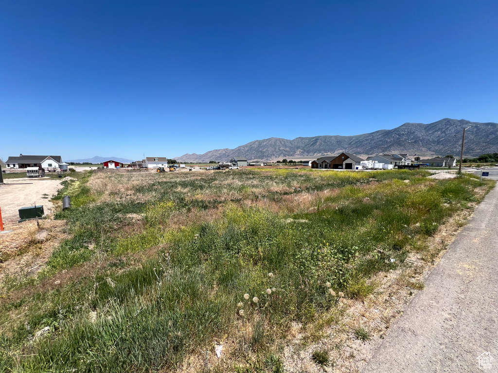 Mountain view