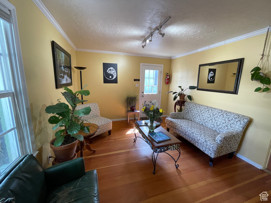Living room with a textured ceiling, track lighting, wood finished floors, and crown molding