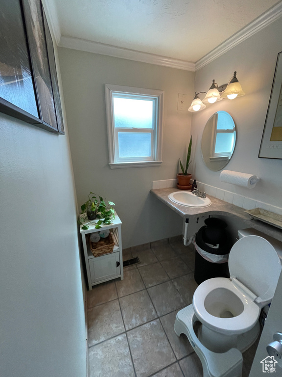 Half bathroom with toilet and ornamental molding