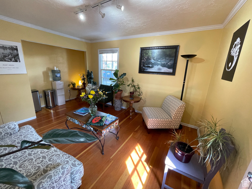 Living room featuring wood finished floors, crown molding, and track lighting