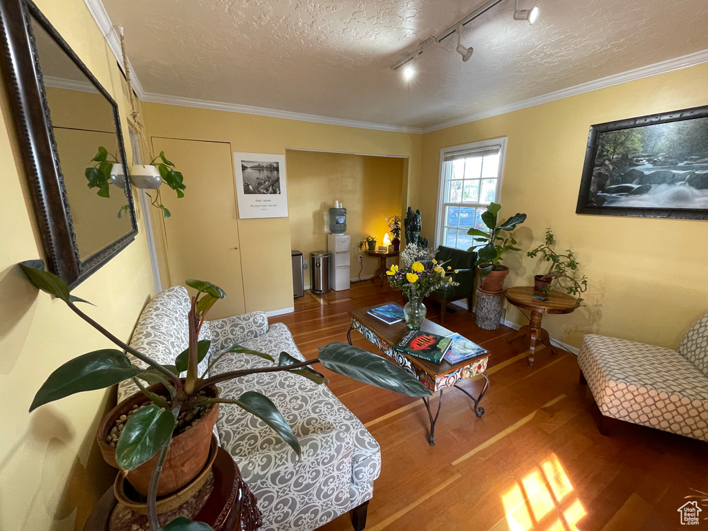 Living room featuring wood finished floors, rail lighting, a textured ceiling, and crown molding