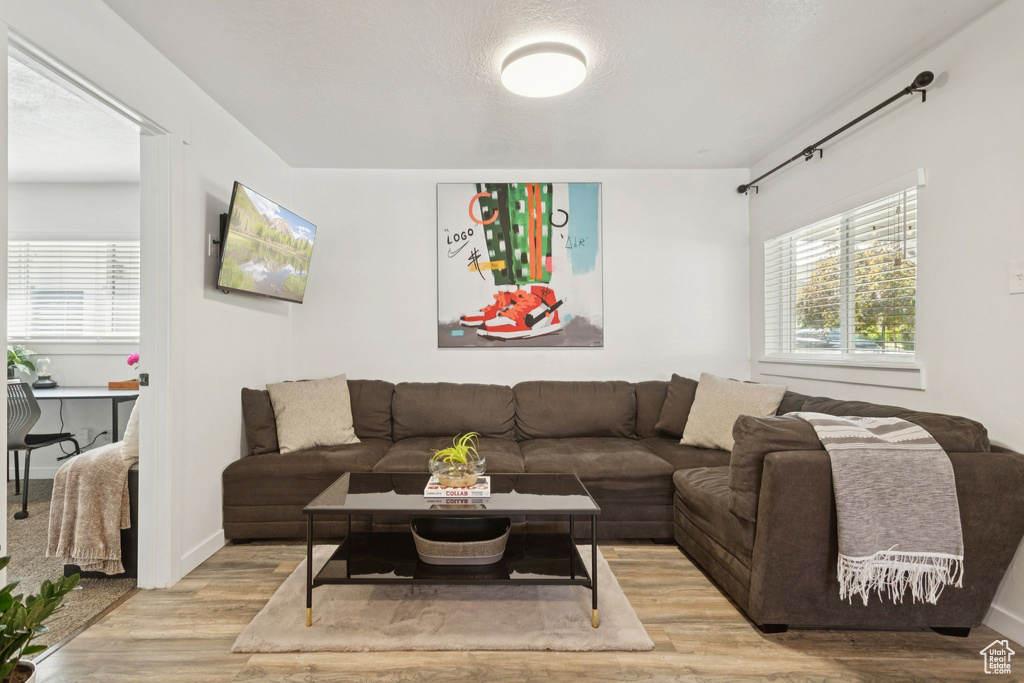 Living area featuring light wood-type flooring and plenty of natural light