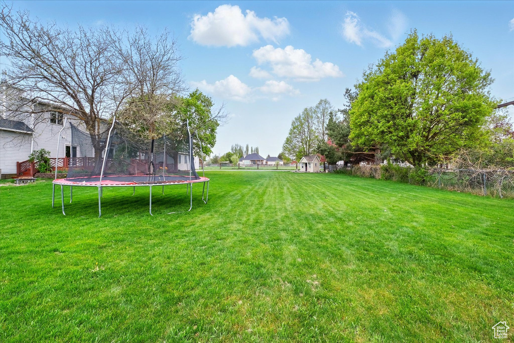 View of yard with a trampoline