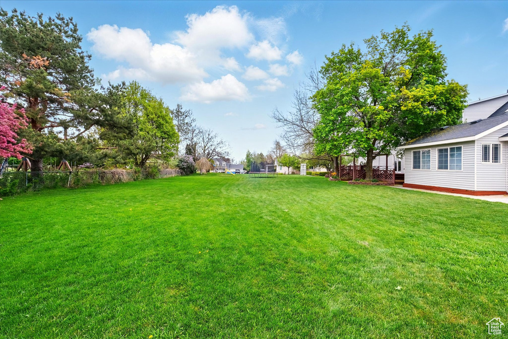 View of grassy yard