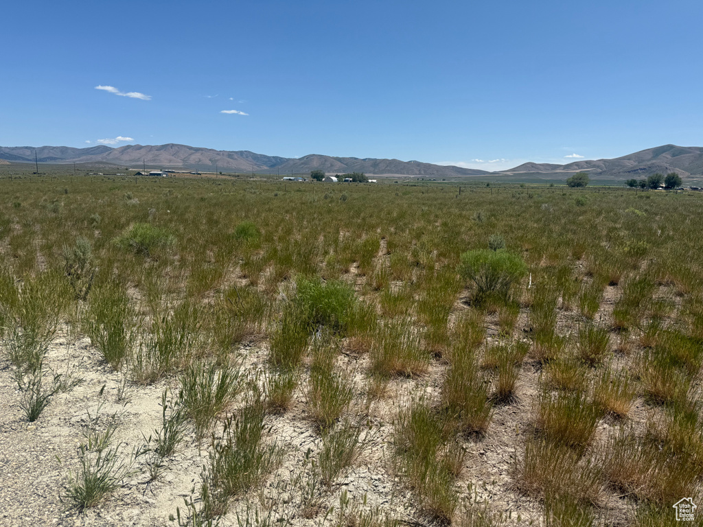 20901 W 1200 S Holbrook, ID 83243