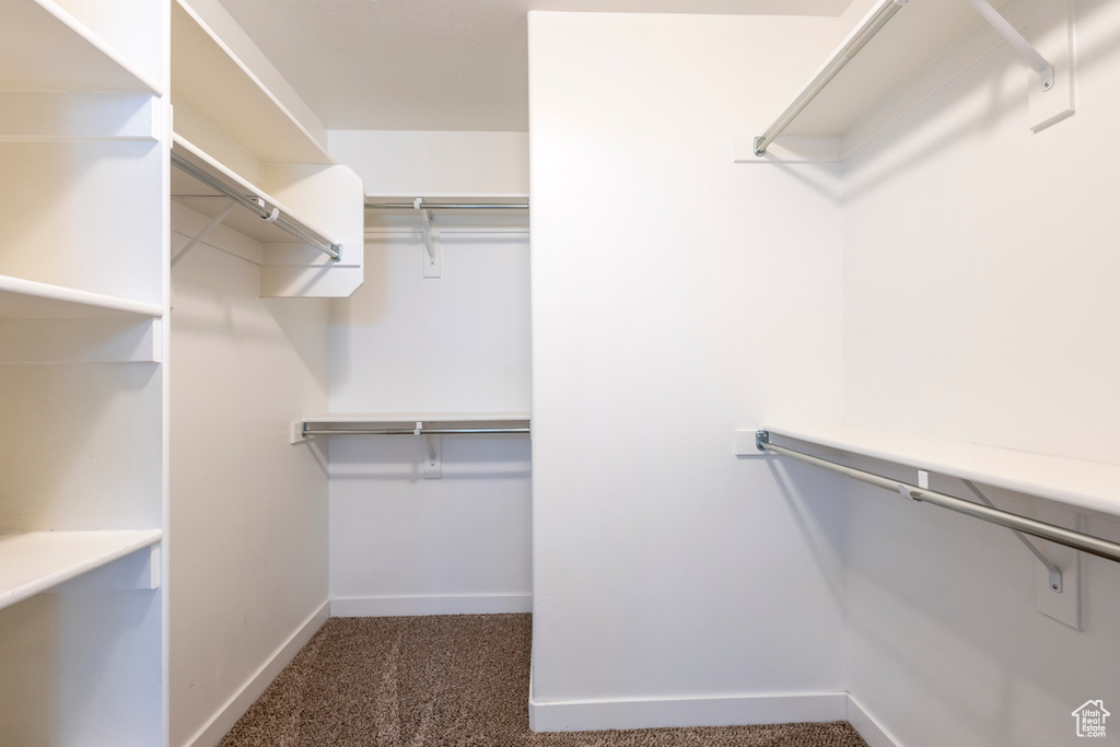 Walk in closet featuring dark colored carpet