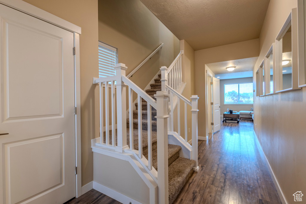 Stairs featuring wood finished floors