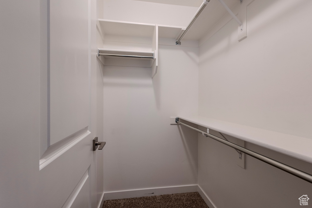 Spacious closet with dark colored carpet