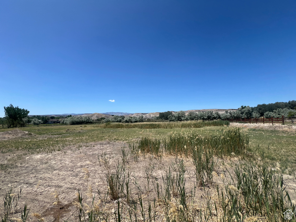 View of local wilderness with rural landscape