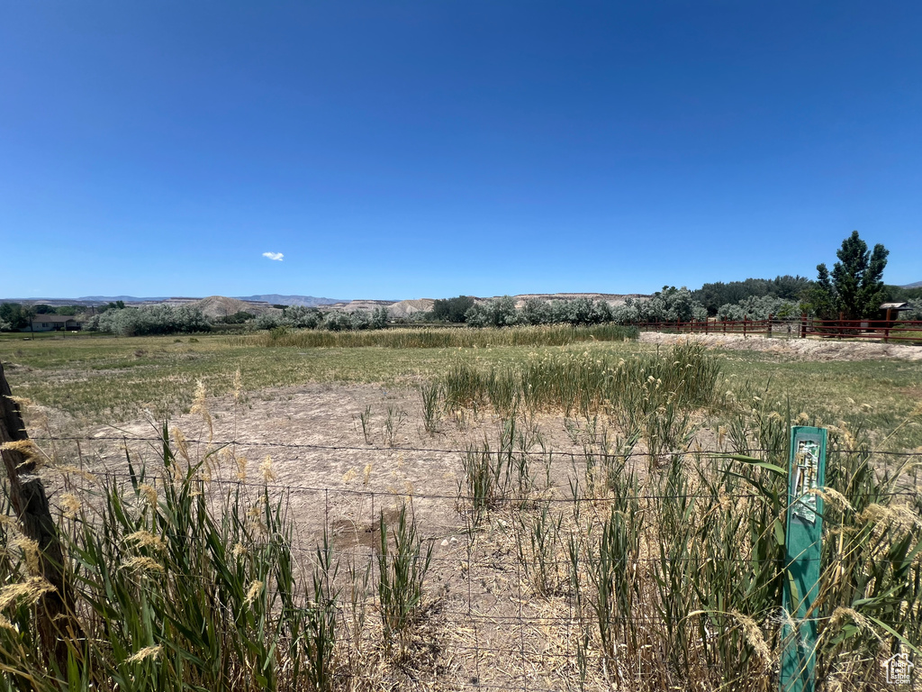 View of yard featuring a view of rural / pastoral area