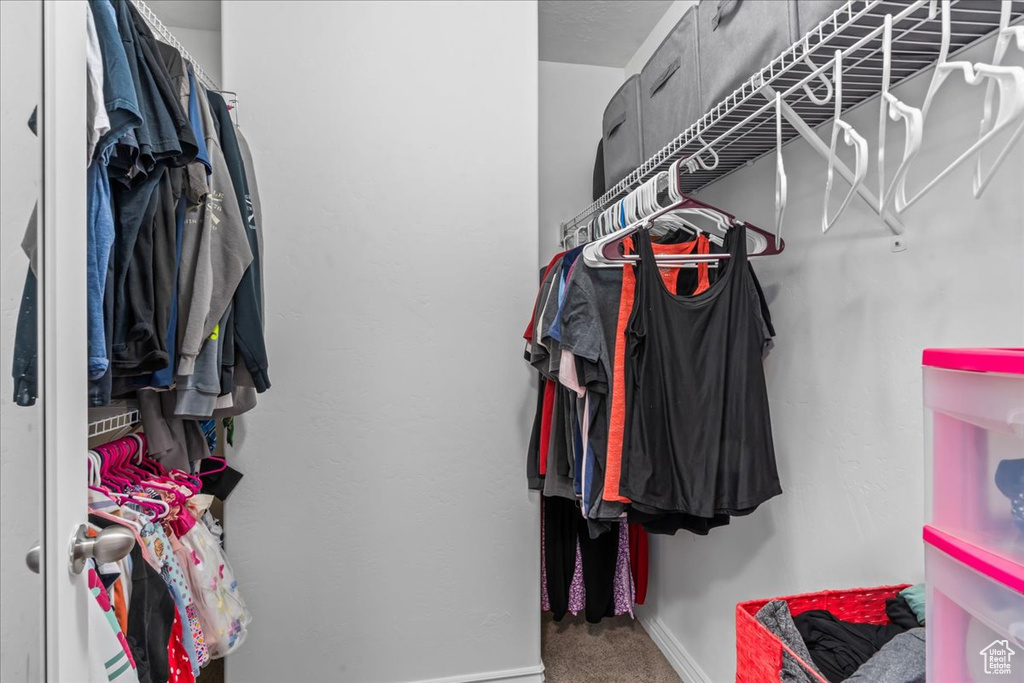 Walk in closet with carpet floors